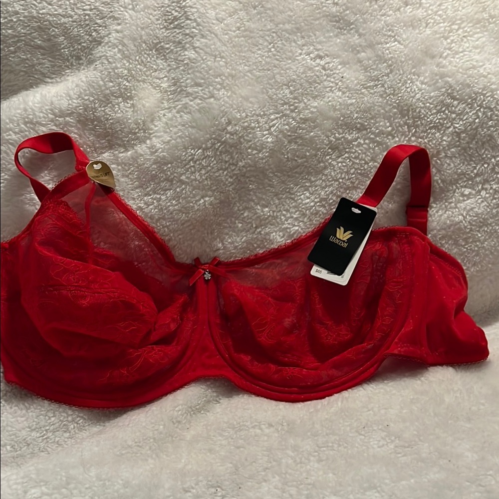Gorgeous Wacoal  Red Lace Underwire Bra NWT size 38H